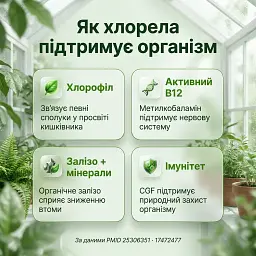 Хлорела у таблетках 100 г - мініатюра 4