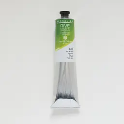 Олійна фарба Rive gauche 200 мл, Соковитий зелений (Sap Green)
