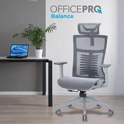 Офісне крісло OfficePro Balance OC620-G-DG-DG (OC620-G-DG-DG) - мініатюра 7