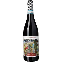 Вино SalvaTerra Valpolicella DOC Classico 2022 червоне сухе 13% 0.75 л