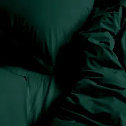 Комплект постільної білизни Cosas Pine Євро варена бавовна зелений (91WashedCotton_GreenDark_El-GreenDark_200) - мініатюра 2