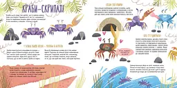 Папа мама я Монолит — семья животных/Евгения Гюнтер Наталья Карпова - миниатюра 7