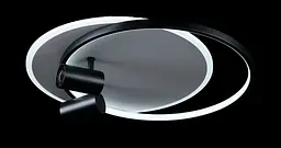 Люстра стельова LED Splendid Ray L2451/480/2+2, 4 лампи, 56 см, чорний та білий, сучасний стиль, з пультом, димер - мініатюра 2