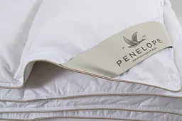 Ковдра Penelope - Dove 10,5 tog пухова 195x215 євро - мініатюра 4