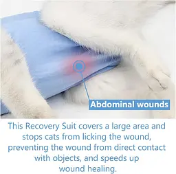 Одяг для котів після операції Holley Bow-knots Blue L - мініатюра 5