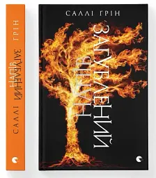 Напівзагублений - Саллі Ґрін - мініатюра 3