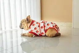 Костюм для відновлення після операції для собак VPETER Strawberry, XL - мініатюра 4