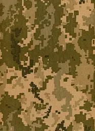 War It Is. Through volunteer’s eyes - мініатюра 2