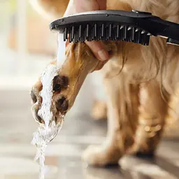 Ручний душ Hansgrohe DogShower 150 3Jet Matt Black 26640670, Чорний матовий - мініатюра 6