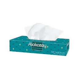 Серветки косметичні Alokozay 2 шари 100 шт. (5904825069516)