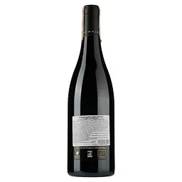 Вино Thierry Germain Domaine des Roches Neuves Saumur-Champigny Terres Chaudes 2017 АОС/AOP, 12,5%, 0,75 л (766690) - мініатюра 2