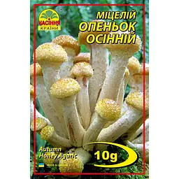 Опеньок осінній 10 г