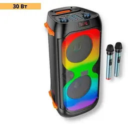 Портативна колонка XPRO BS53 валіза 30Вт USB SD FM радіо Bluetooth 2 мікрофони ДК (41918-BS53_3201) - мініатюра 2