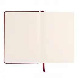 Щоденник діловий Leo Planner 2027 Vector А5 твердий бордовий 368 сторінок (252757) - мініатюра 3
