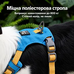 Шлея для собак Nunbell No-Pull з повідцем, регульована та світловідбивна M, Синій - мініатюра 4