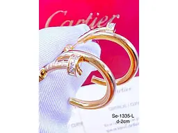 Сережки Stainlees Steel 1 335