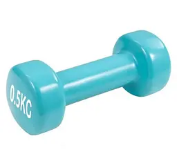 Гантель вінілова PowerPlay 0,5 кг. PP_4103 Блакитна 1 шт (PP_4103_0,5kg)