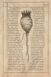 Алхімічний діарій - мініатюра 8