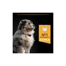 Сухий корм для собак Purina Pro Plan Dog Medium Puppy з високим вмістом курки 12 кг (7613035120402) - мініатюра 6