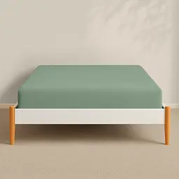 Комплект постільної білизни Cosas Meditative CS1 Підлітковий фланель спаржа (Flannel_52Meditative_El90-52Meditative_155) - мініатюра 6