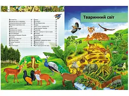 Книга Я і світ навколо мене. Ілюстрована енциклопедія, Пегас (укр) - мініатюра 4