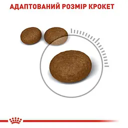 Сухий корм для кішок з проблемною шерстю Royal Canin Hair&Skin Care з куркою 4 кг - мініатюра 4