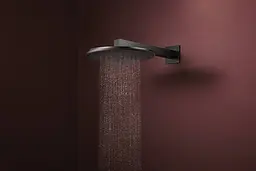 Верхній душ Hansgrohe Raindance Alive S 300 2jet EcoSmart з тримачем brushed black chrome 24541340 - мініатюра 3