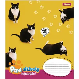 Зошит 1 вересня Pawsitively А5, 24 аркуша в лінію (768241)