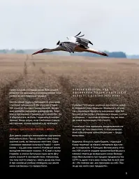 Локальна історія №8/2023 (тема "Хліб") - мініатюра 5