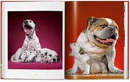Chandoha. Dogs. Photographs 1941–1991 - мініатюра 7