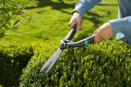Ножиці для живоплоту Gardena PrecisionCut 12302-20 (40.7/18 см) - мініатюра 4