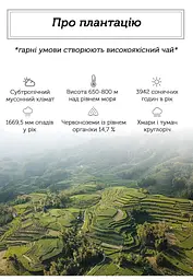 Чай Newtea Бай Хао Інь Чжень Лі Да 2019 р. - 350 г - мініатюра 4
