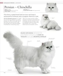 The Cat Encyclopedia - мініатюра 16