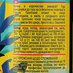 Пиво Volynski Browar Forever Hawaii світле нефільтроване 4.5% 0.5 л - мініатюра 4