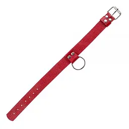 Нашийник Ring of Humiliti Red від sLash - мініатюра 2
