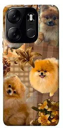TPU чохол Demsky Spitz aethtetic для Tecno Spark Go 2023