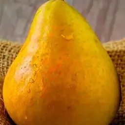 Саджанець Agro-Market Груша Дюшес (зимовий сорт, пізній термін дозрівання) (15811) 1 шт. в упаковці - мініатюра 2