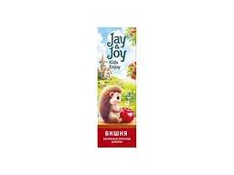 Пастила JAY&JOY 32г Цукерки фруктові вишнева