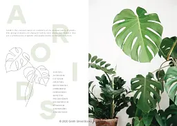 Plantopedia - мініатюра 2