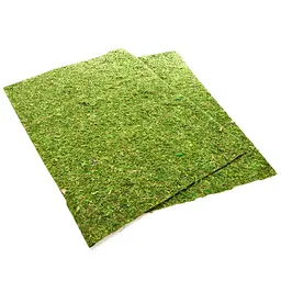 Фон з натурального моху Repti-Zoo Natural Moss Back & Bottom 20x30см 2 шт (NCM3020) для тераріуму - мініатюра 4