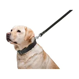 Повідець для собак Collar подвійний з прошивкою Ш 14 мм Д 122 см чорний (04521) - мініатюра 6