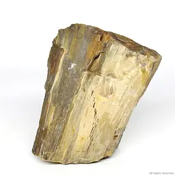Декоративний природній камінь Hobby Petrified Wood S 0.3-1.0кг (40686) - мініатюра 2