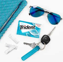 Жувальна гумка Trident Wintergreen Sugar Free Gum 14 стіків - мініатюра 2