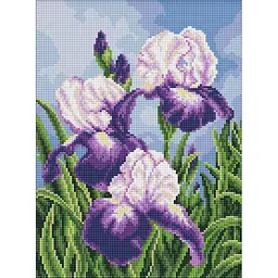 Алмазна мозаїка "Іриси просто неба" art_selena_ua Ideyka AMO20470, 30х40 см