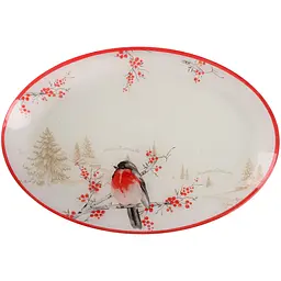 Блюдо Viva NY Winter Bird овальне 30х20 см (S441012A-1)