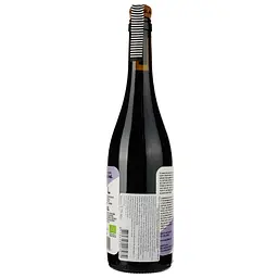 Вино Neleman Bike Garnacha & Marselan DO Valencia 2022, червоне, сухе, 0.75 л - мініатюра 2