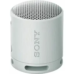 Портативна колонка Sony SRS-XB100 Grey (SRSXB100H.CE7)