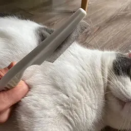 Гребінець для вичісування бліх і вошей, для видалення шерсті та підшерстя у котів та собак Semi Animals Comb 18 см, White - мініатюра 3