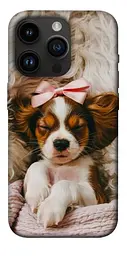 TPU чохол Demsky Sleepy spaniel для Apple iPhone 14 Pro (6.1")
