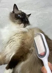 Багатофункціональна щітка для тварин Pet Gravity 4в1 Pet Grooming Comb для сухого та вологого вичісування собак і котів - мініатюра 6